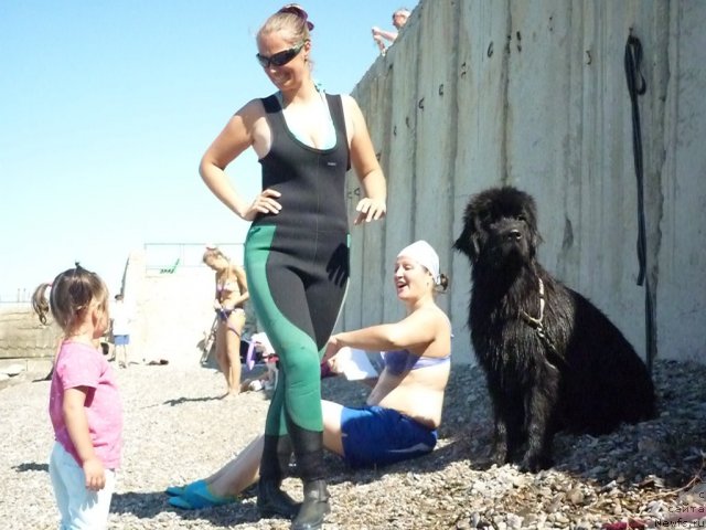 Фотография № 78521