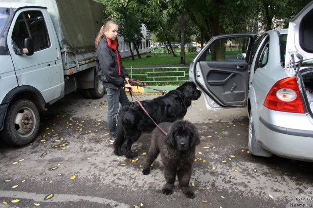 Фотография № 78547