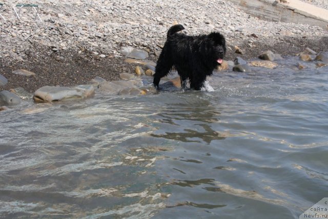 Фотография № 78549