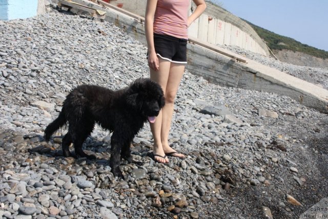 Фотография № 78554