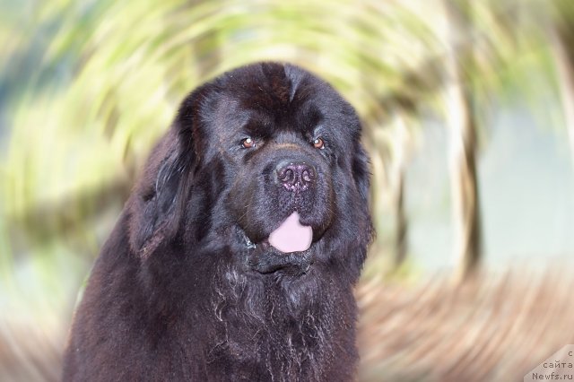 Фотография № 78560