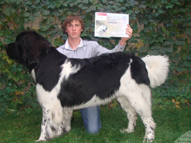 Фотография № 78562