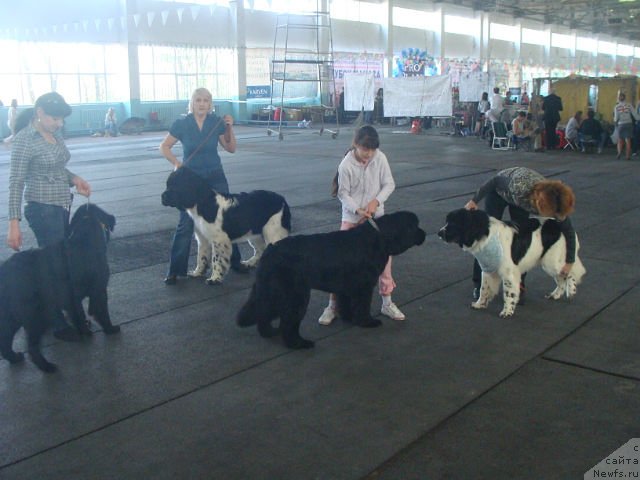 Фотография № 78564