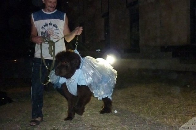 Фотография № 78573