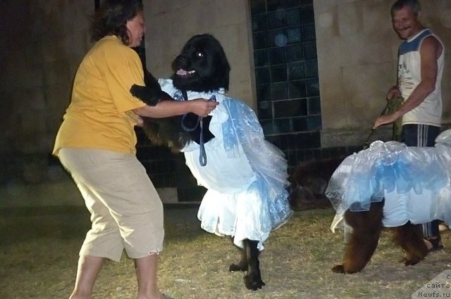 Фотография № 78575