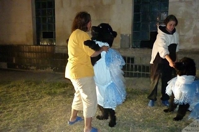 Фотография № 78581