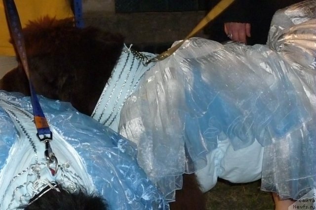 Фотография № 78583