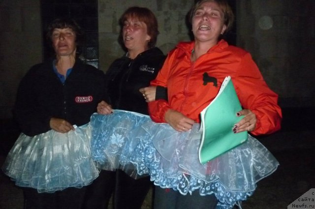 Фотография № 78586