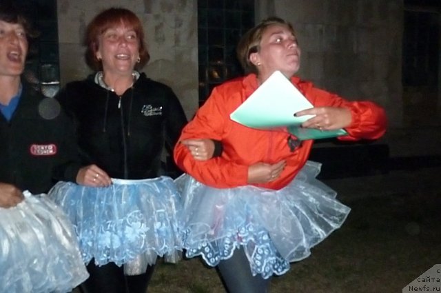 Фотография № 78588