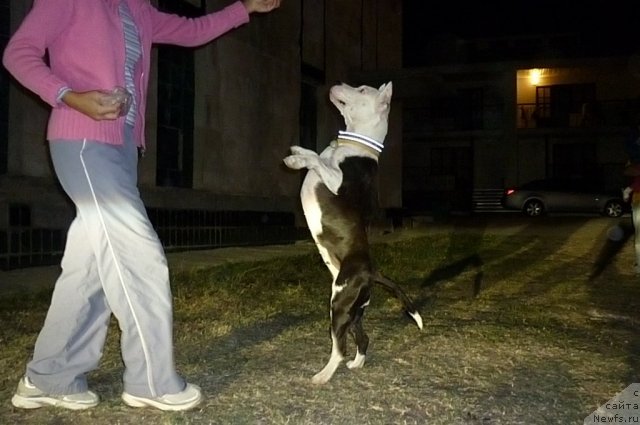 Фотография № 78596