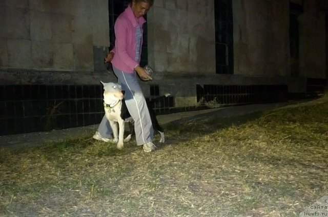 Фотография № 78597