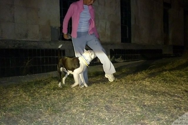 Фотография № 78598