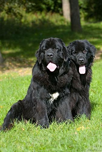 Фотография № 786