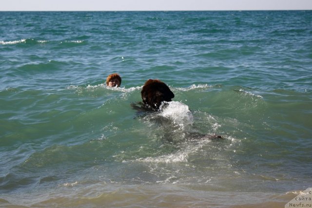 Фотография № 78607