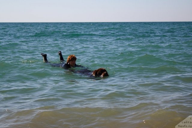 Фотография № 78608