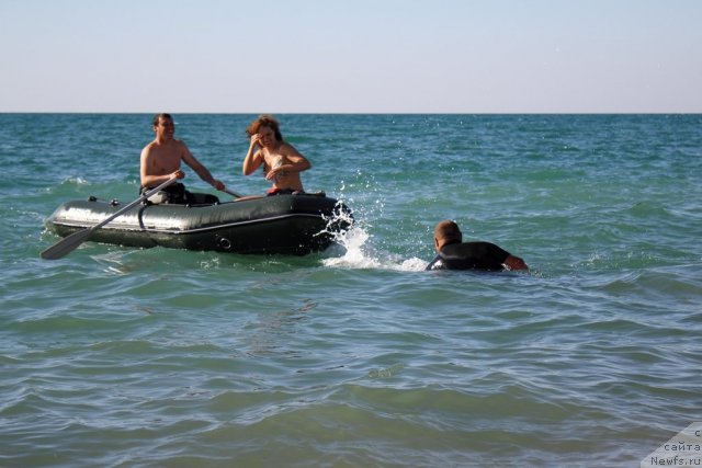 Фотография № 78611