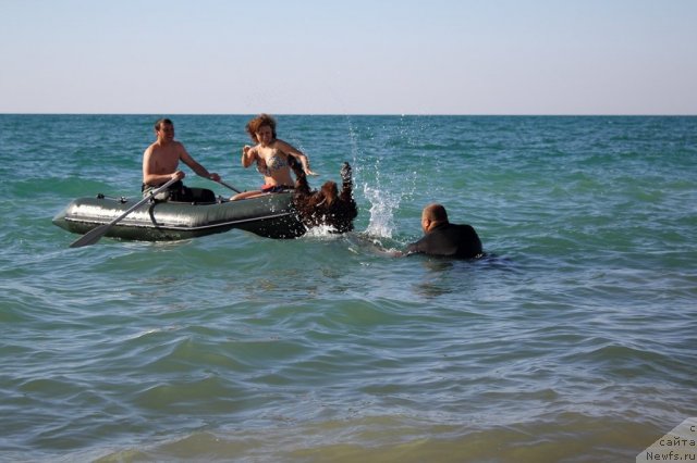 Фотография № 78612