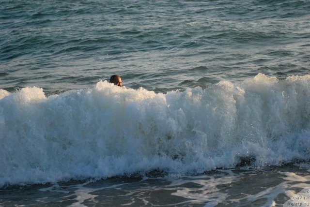 Фото: Кирил Ермаков