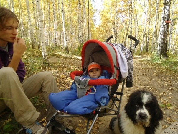 Фото: сынок Лавины и Дуенде