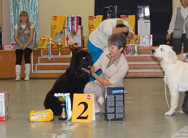 Фотография № 78698