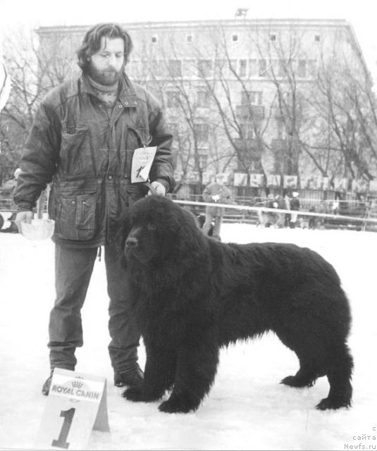 Фотография № 7870