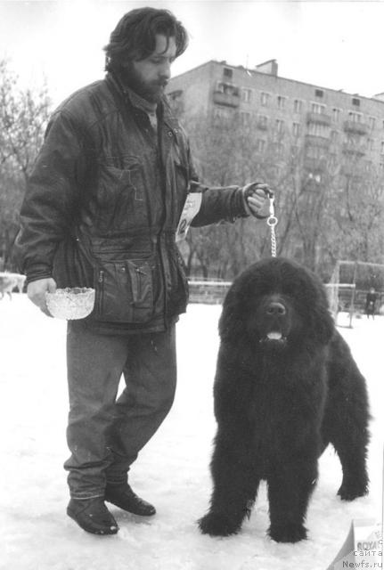 Фотография № 7871