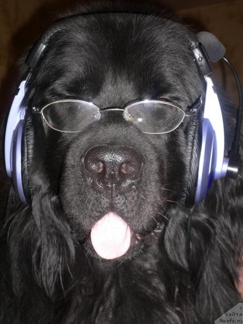 Фотография № 7873