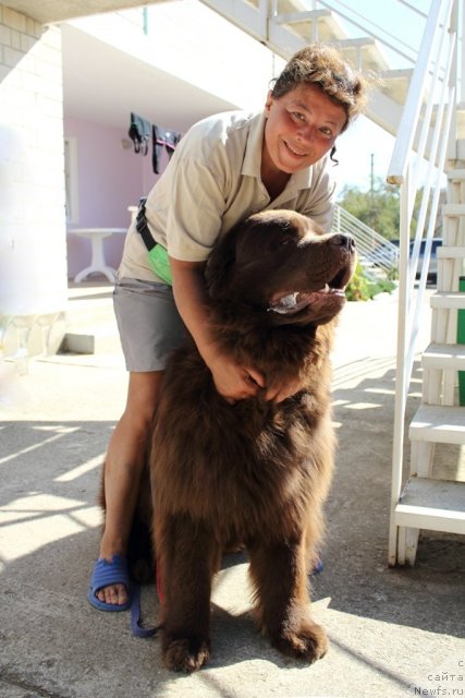 Фотография № 78733