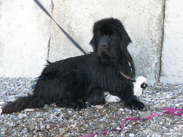 Фотография № 78748