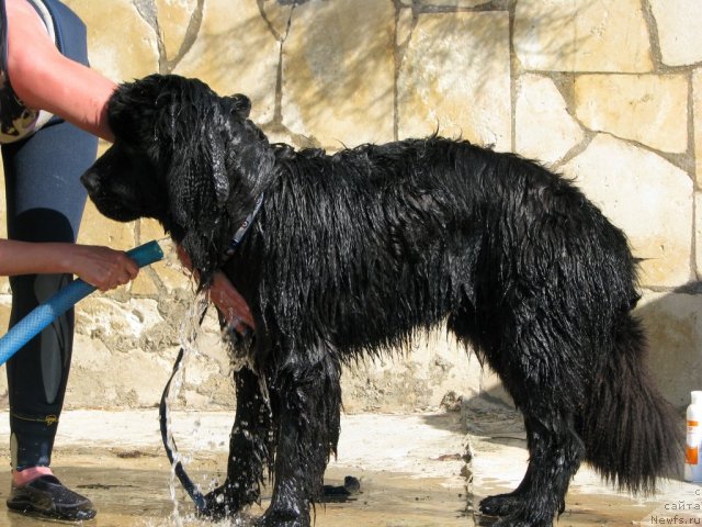 Фотография № 78749