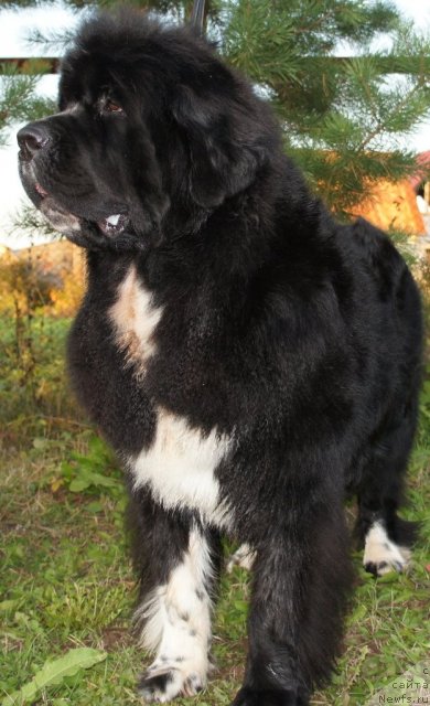 Фотография № 78755