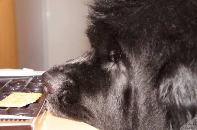 Фотография № 78756