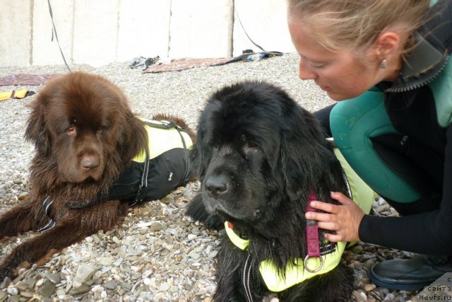 Фотография № 78763