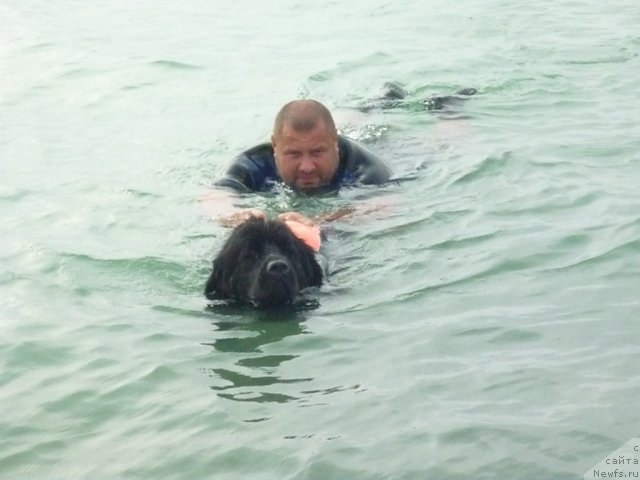 Фотография № 78764