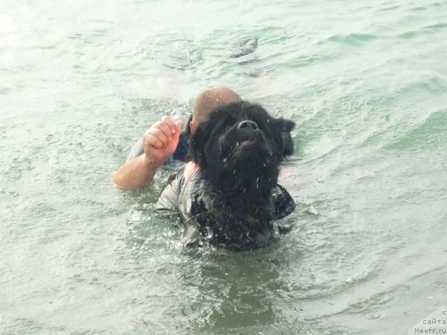 Фотография № 78766