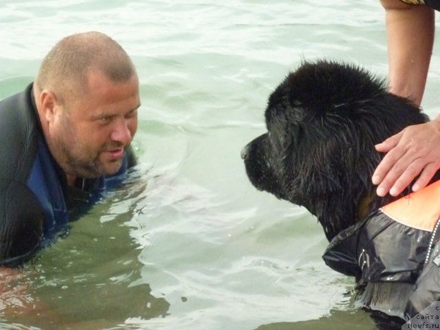 Фотография № 78767