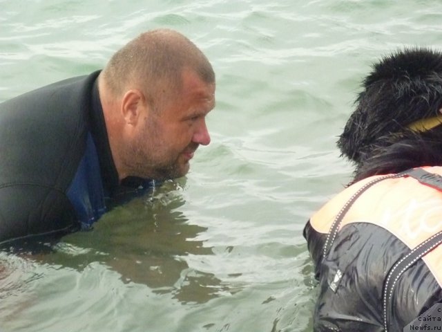 Фото: ньюфаундленд Целого Мира Мало из Аркаима (Tselogo Mira Malo iz Arkaima), Юрий Малев