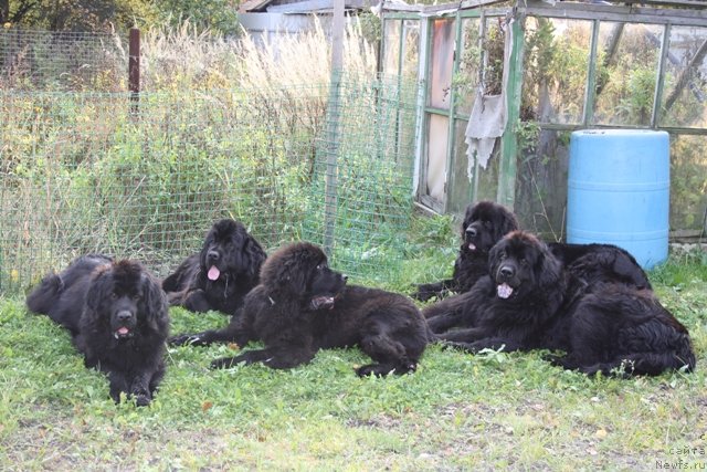 Фото: Надежда Федосеева