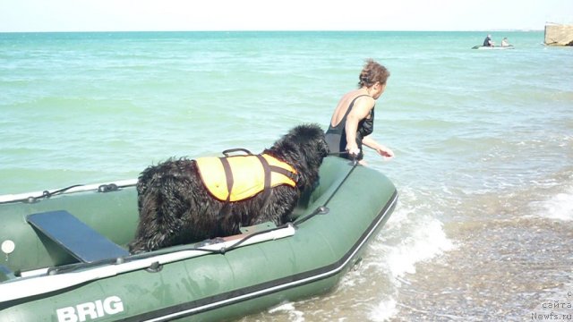 Фотография № 78782