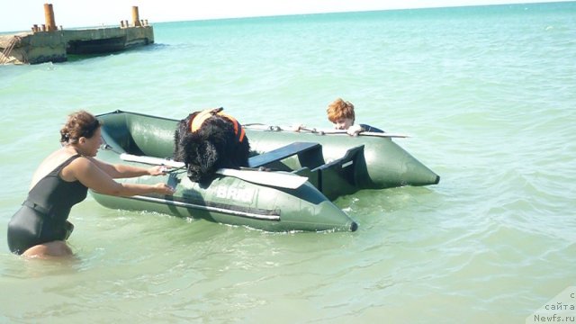 Фотография № 78790