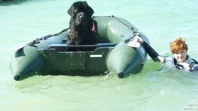 Фотография № 78794