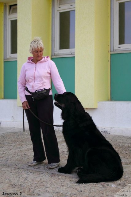 Фотография № 78883