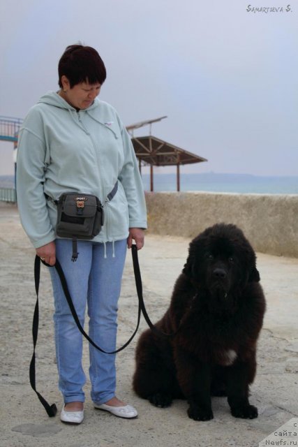 Фотография № 78885