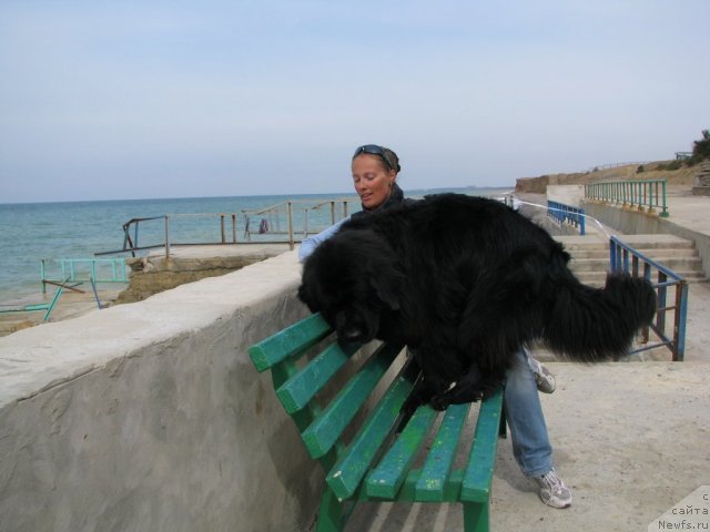 Фотография № 78916