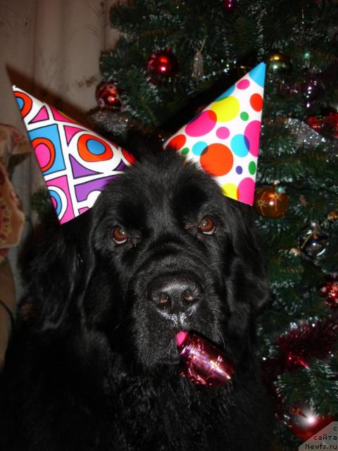 Фотография № 7893