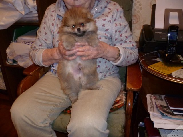 Фотография № 78936