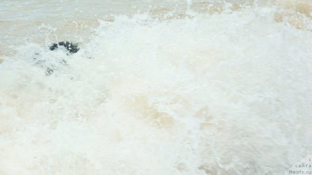 Фотография № 78957