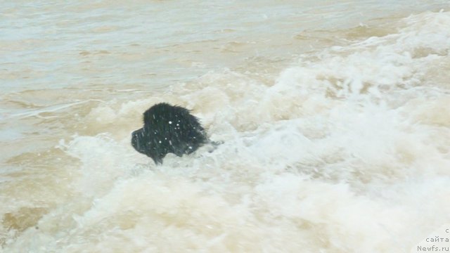 Фотография № 78958