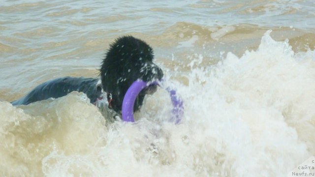 Фотография № 78962