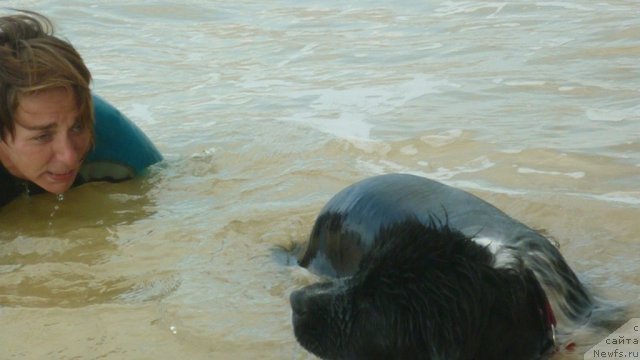 Фотография № 78964